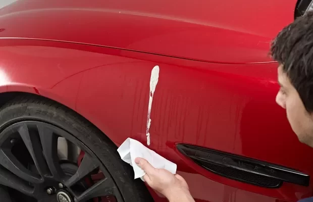 Bird Poop On Car Paintwork