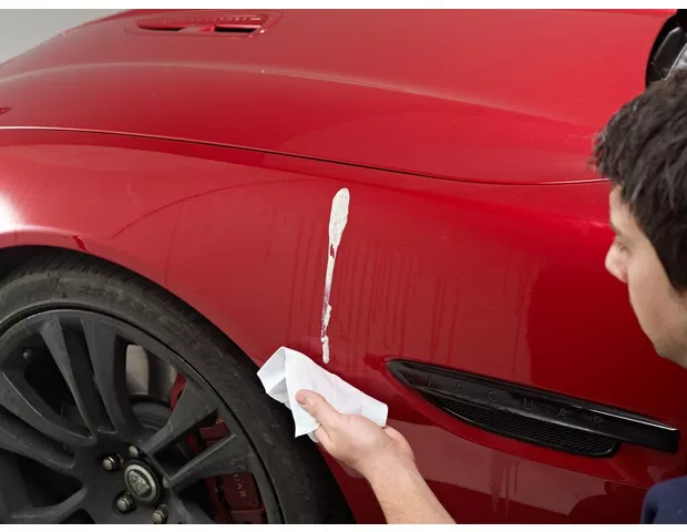 Bird Poop On Car Paintwork